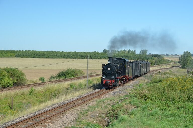 Dampflokomotive 20 der Mansfelder Bergwerksbahn mit Personenzug im Grünen
