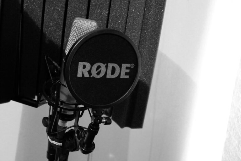 Studiomikrofon mit Popfilter und Reflexionsschirm
